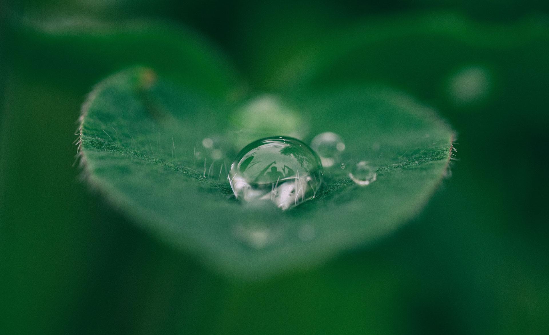 Dorothea Baur - ESG und Nachhaltiges Investieren